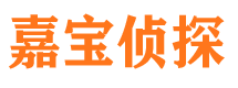 潘集市侦探公司